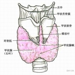 心脏植物神经功能紊乱有什么临床表现？ 治疗心脏植物神经紊乱