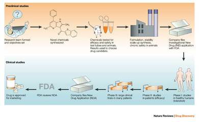 新药的研发过程 中药药的研发过程