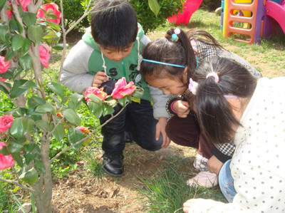 张雪门幼稚园行为课程及其现代意义 幼稚园行为课程