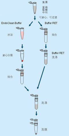 酚氯仿法提取DNA的一些试剂的作用 酚氯仿抽提dna