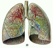 基层医生实用特效经验全科方 - 基层医生门诊版 - 临床医生论坛 基 实用临床医学杂志