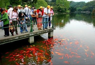 西湖风光：最新评选的西湖十景综合介绍（图文）