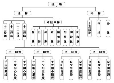 黄元御《四圣心源》译读 第10节;快读网 黄元御四圣心源点睛