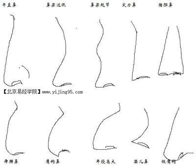 面相算命图解：面相鼻子
