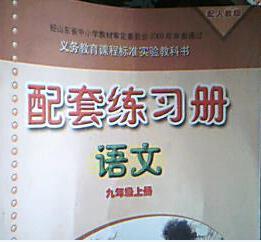 人教版九年级上册语文配套练习册第三单元综合练习题答案