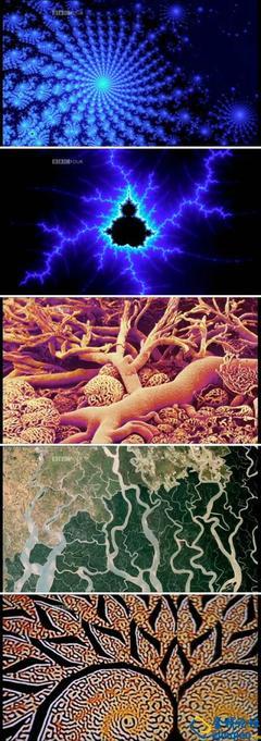 BBC纪录片《神秘的混沌理论》 bbc神秘的混沌理论