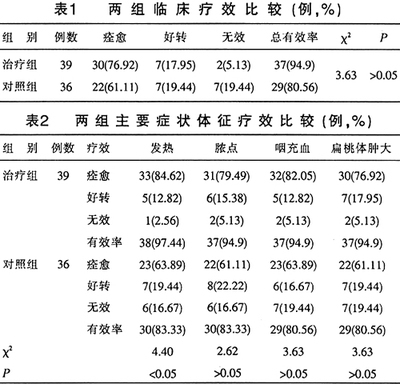 小儿急性化脓性扁桃体炎的综合治疗措施效果观察与体会 小儿化脓性扁桃体炎