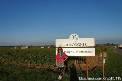 游酒法国--勃艮第特级田蒙哈榭LeMontrachet chassagne montrachet