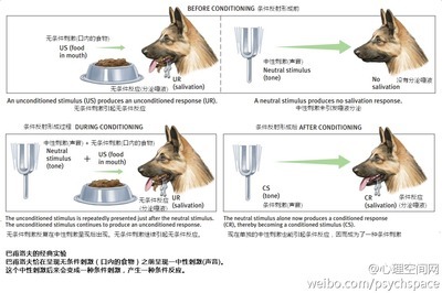 巴甫洛夫传 巴甫洛夫条件反射