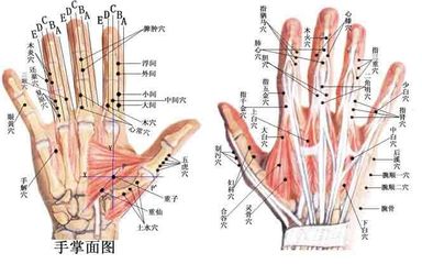 [推荐]经络学讲座（视频） 中医养生视频讲座推荐