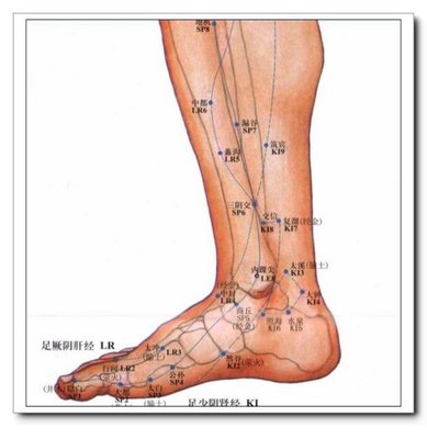 中里巴人：筑宾穴主要功效是清热利湿、化痰安神、理气止痛