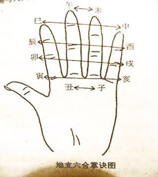 十二地支六合与地支六合的用法 十二生肖猴对应的地支