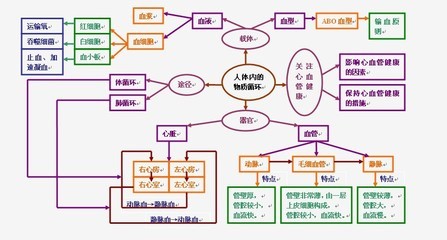 专题5：生物圈中的人