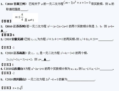 2010全国中考数学试题汇编:一元二次方程(含答案)