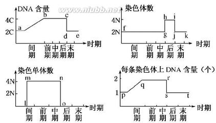 [转载]以数学模型归纳高中生物主干知识 高一生物知识点归纳