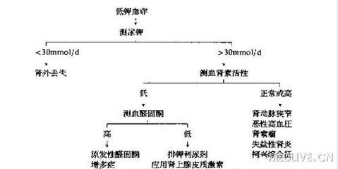 低钾血症诊断思路 低钾血症鉴别诊断