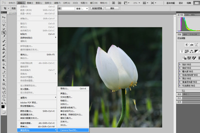 Photoshop cs4安装Camera Raw插件 photoshop camera raw