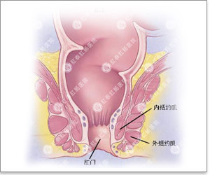 肛门失禁 肛门失禁是损伤了什么