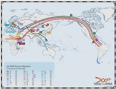 揭开生命的奥秘——分子生物学对生命起源研究 生命起源的奥秘