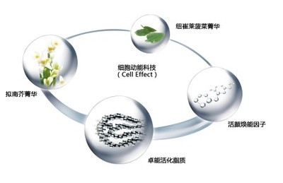 国际抗衰老专家常维玲：细胞激活，点亮青春