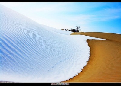 沙似雪、月如霜——绝美的荒凉 白如霜