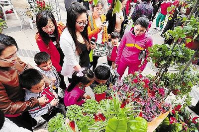 生活象花儿一样 杭州生活像花儿一样