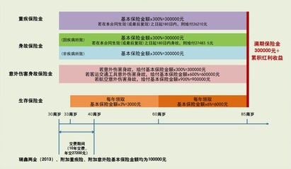 [中国人寿营销险种]康宁定期保险条款 中国人寿康宁万能条款