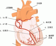 关于小儿心肌炎的中医治疗经验， 小儿心肌炎治疗