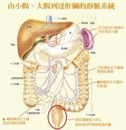 王明勇：咖啡灌肠排毒保健法（湖南卫视《百科全说》视频）