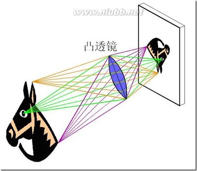 相机成像与背景虚化原理 相机的成像原理