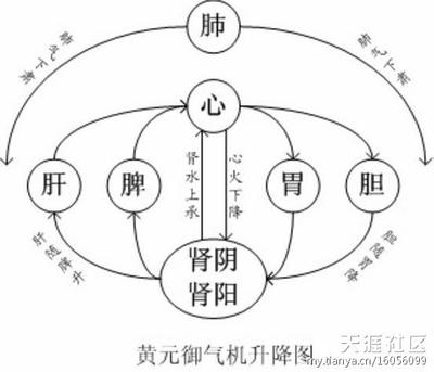 黄元御《四圣心源》译读 第88节;快读网 黄元御四圣心源方剂