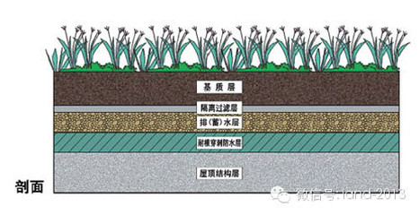 屋顶花园设计规范摘要 屋顶花园设计