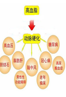 血脂异常有哪些危害 血脂高的症状及危害