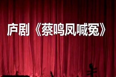 庐剧《蔡鸣凤喊冤》全剧 周小五、夏小二、杨青霞主演 蔡鸣凤传奇