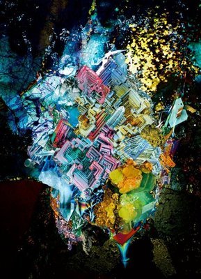 [Album][12.11]RADWIMPS-[Xと○と罪と]320k radwimps 你的名字