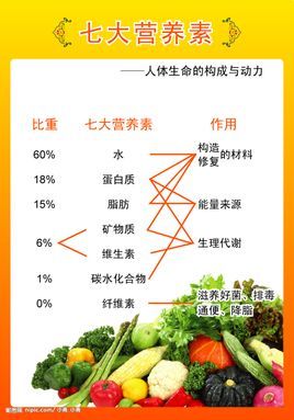 人最需要的七大营养素 七大营养素的来源