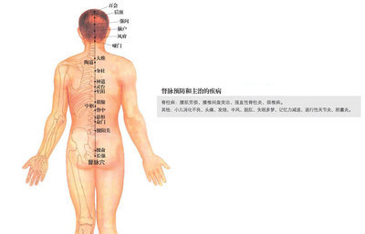 督脉 督脉的作用和功能