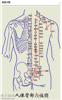 背部肌肉酸痛，该如何解决？ 小腿背部肌肉酸痛