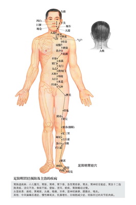 陈玉琴：敲胆经（视频讲座）