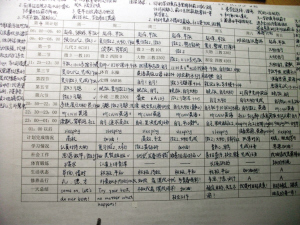 清华大学双胞胎学霸“最牛学习计划表”微博爆红