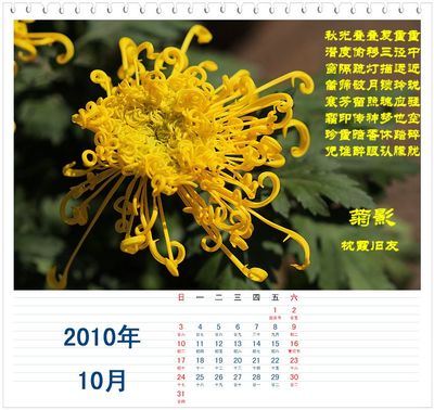 读陈毅菊花诗有感 红楼梦菊花诗赏析