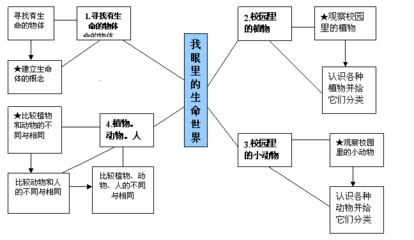 三年级上学期科学《科学是……》教学反思 三年级上学期科学教案