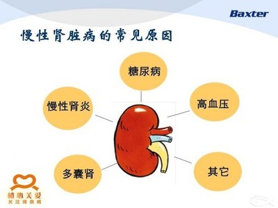 肾病知识讲座！遗传性肾病 - 我爱宝宝网 肾病讲座