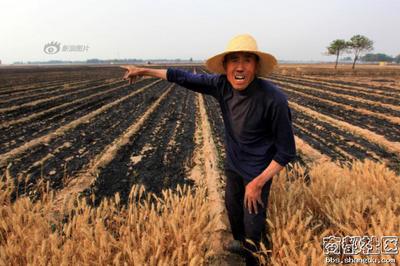 瓦岗寨起义 中国十大未破杀人惨案