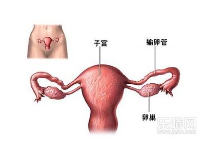 右下腹部隐痛原因 附件炎的症状