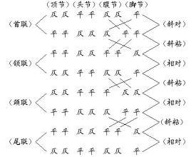 古诗平仄规律1 诗平仄完全不对