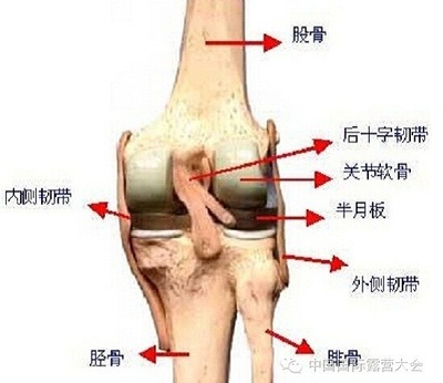 髂胫束摩擦综合征 髂胫束综合症诊断标准