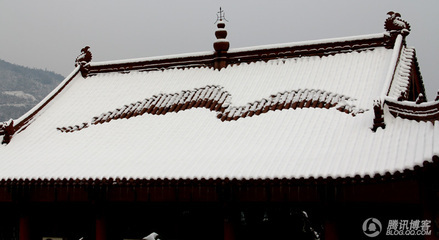 九华山甘露寺龙年天降“真龙” 村民目睹天降真龙