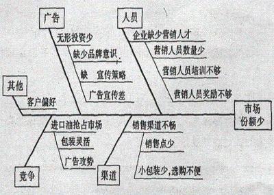 用于定性分析——鱼骨图 鱼骨图分析法分析案例