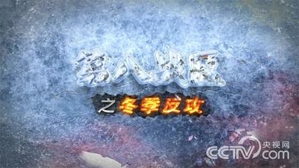 第8战区的冬季攻势 冬季攻势